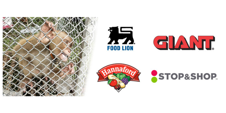 Salisbury-Based Food Lion Parent Commits To Stop Selling Products Sourced From Monkey Labor