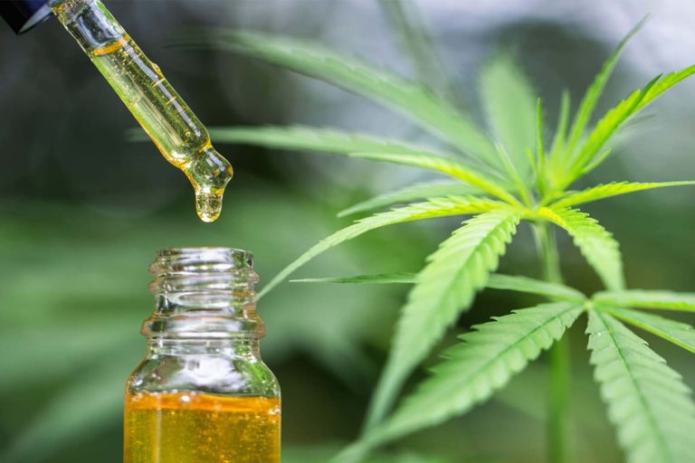 Are There Other Cannabinoids Found In CBD Oil? A 2021 Guide for UK CBD Consumers