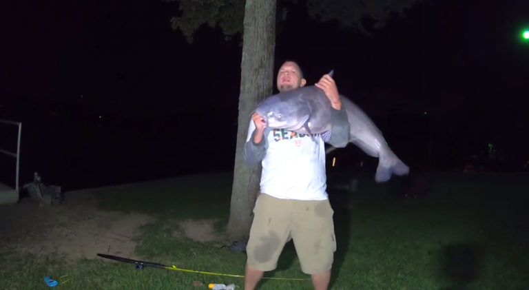 South Carolina’s Own ‘Cat Daddy’ Catches Monster 51 lb Blue Catfish in Lake Wylie (Video)