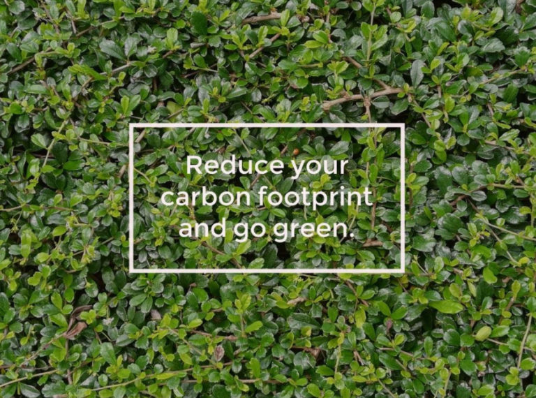 4 Practical Ways to Reduce Your Carbon Footprint