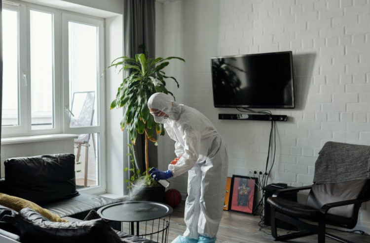 Why Hiring Professional Cleaning Company For Your Home Is Beneficial