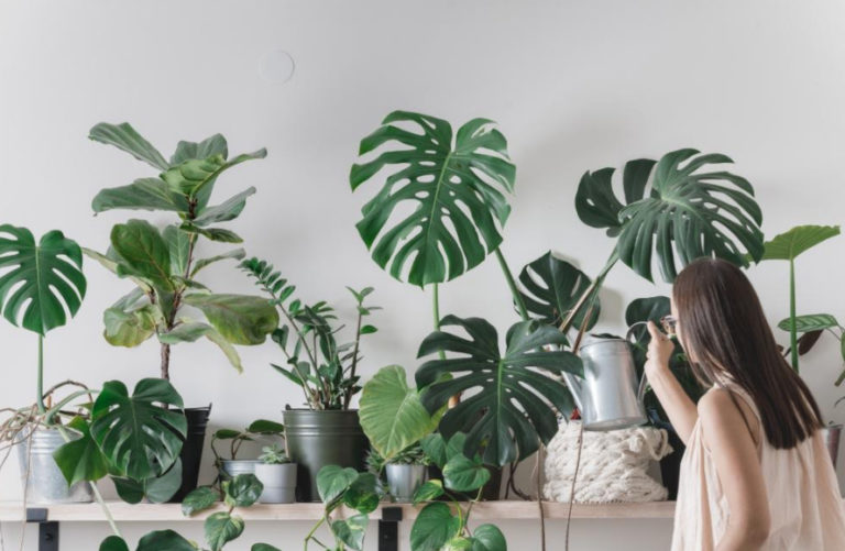 Small Touches That Make a Big Difference in Home Decoration