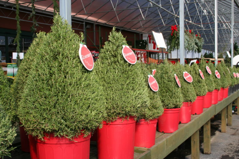 Pike Nurseries Delivering Christmas Charlotte Residents’ Front Doors