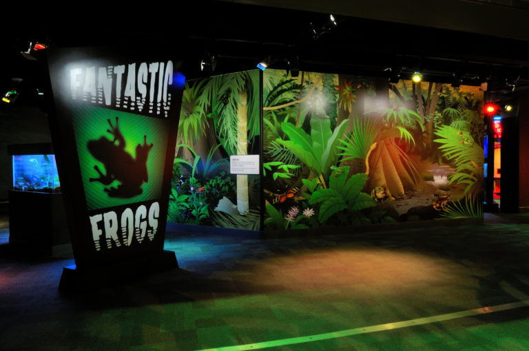Hop Over to Discovery Place Science and Explore Fantastic Frogs
