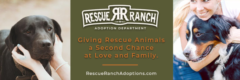 NC’s Rescue Ranch Launches Foster and Adoption Program