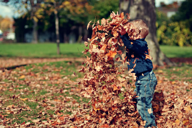 5 Ways To Get Ready for Fall