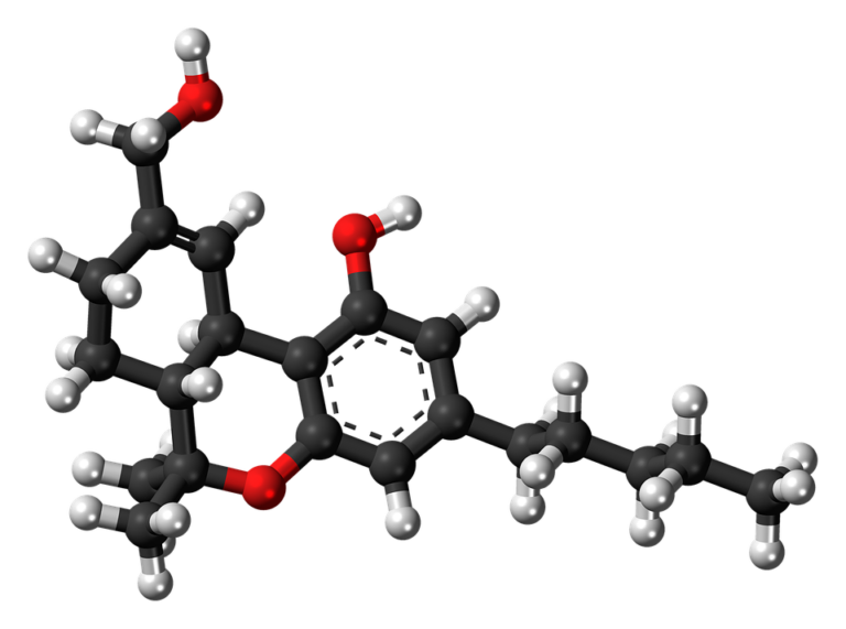 AN ENTHUSIAST’S COMPLETE GUIDE TO DELTA 8 THC