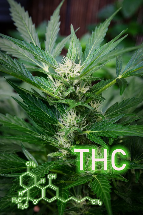 How to Choose Delta 8 THC Dabs — Tips for 2022