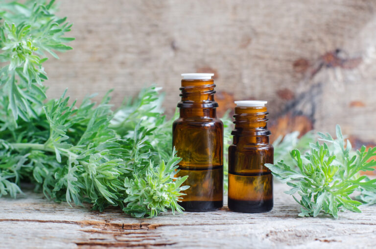 How to Get Rid of Insects with Everlasting Comfort’s Essential Oil Diffuser