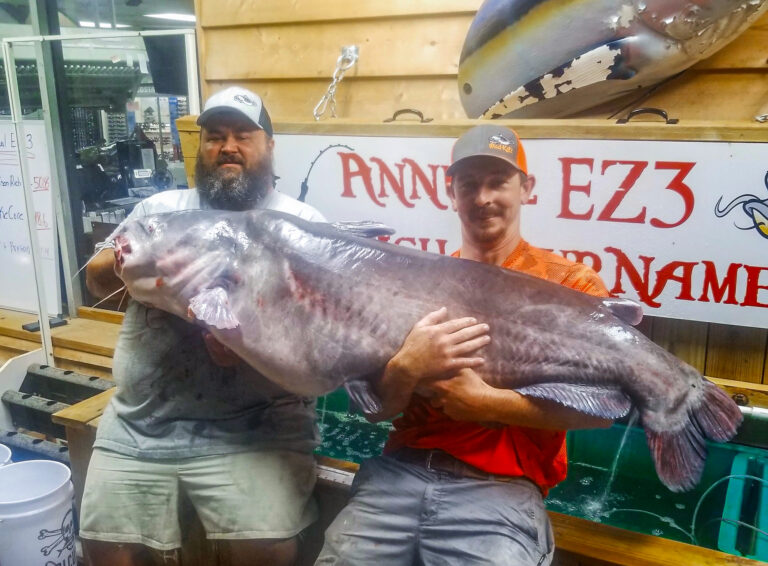 The Largest Freshwater Fish in NC History Was Just Caught Weighing Over 127 lbs