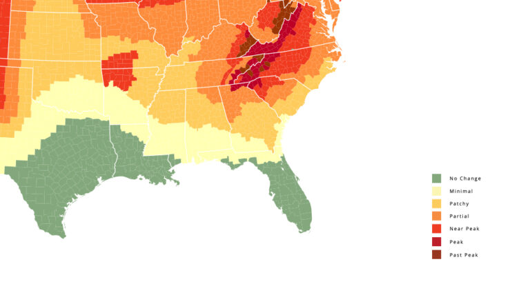 Here’s When Fall Colors Are Predicted To Peak in North Carolina in 2021