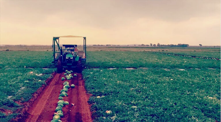 Organic Farming Gaining Traction in North Carolina