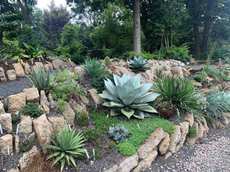Transform your Exterior with Artificial Plants