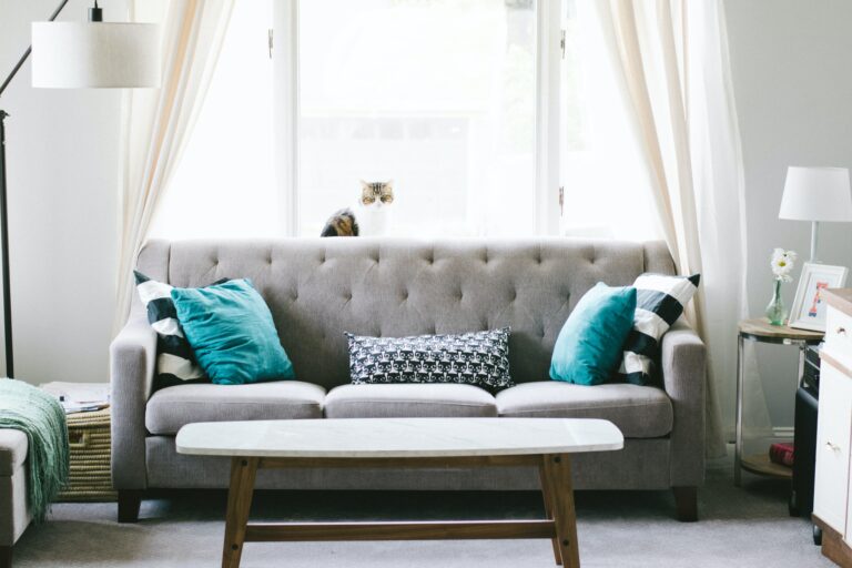 Making Your Rental Apartment in Charlotte Look Fabulous