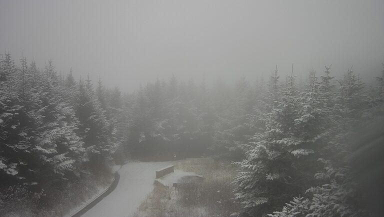 Winter Is Officially Here in North Carolina (with pictures of snow)