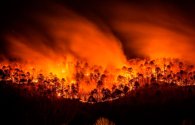 NC Officials Declare State of Emergency As Wildfires Consume Thousands of Acres and Destroy Homes