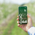 Farmer holding cellphone with smart gardening data on screen, monitoring soil ph, temperature, performing pest control