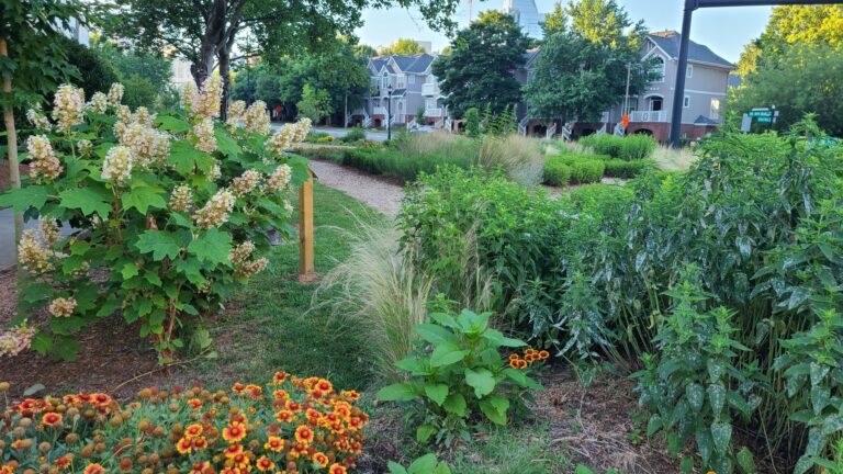 Master Gardeners Uniting To Transform Two West Blvd Facilities