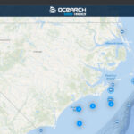 outer banks nc shark tracker