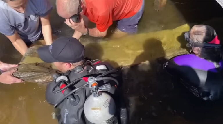 1,000-Year-Old Native American Canoe Recovered From North Carolina Lake