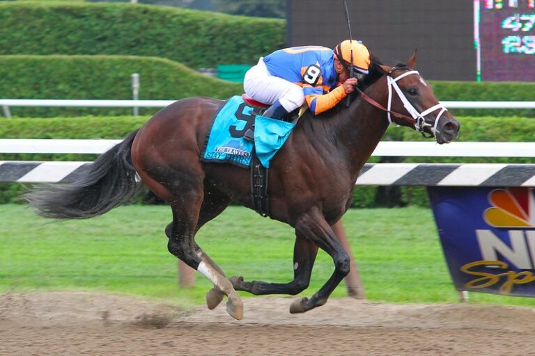 Best Wager Types For Horse Racing In 2023