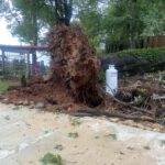 Robinson Road Mooresville via Renee McLelland