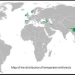Temperate-Rainforests-Biome