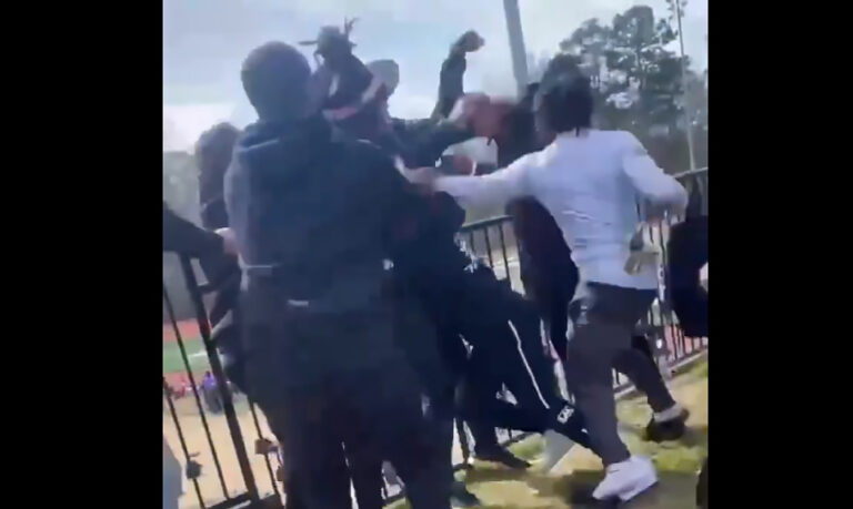 Former Panthers QB Cam Newton Gets In Massive Brawl At Youth Football Tournament