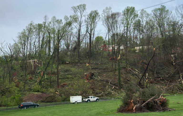 Confirmed Tornado Ripped Up Trees and Blew Out Windows North of Charlotte Yesterday