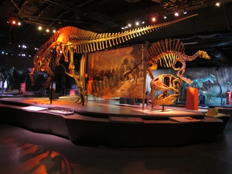Dinosaurs Coming To Uptown Charlotte