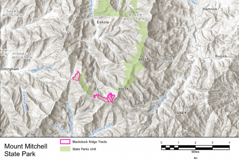 NC’s Mount Mitchell State Park Adds 230 Acres of New Public Land