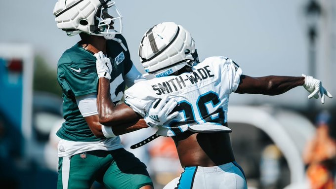 Carolina Panthers Lose To New York Jets In PreSeason Home Opener