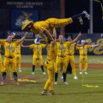 savannah banana baseball