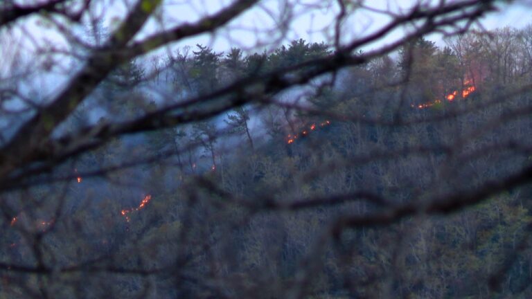 Emergency Management Issues Evacuation Order As New Wildfire Spreads in NC Mountains