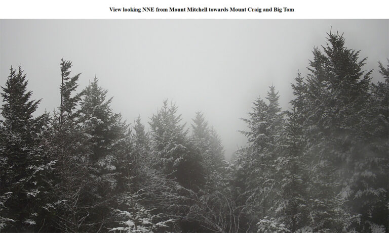 Cold Front Brings Rare April Snowfall To North Carolina
