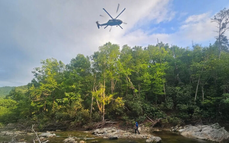 Teen Airlifted Out of NC Woods After Nearly Fatal Timber Rattlesnake Bite