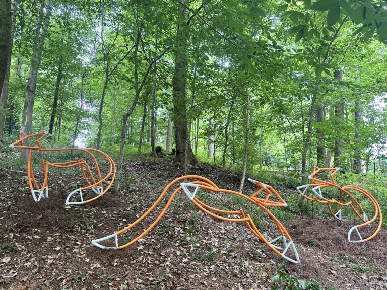 Forest Forms Opening Night Offers First Look at Fort Mill’s Newest Outdoor Art Exhibition at ASCG