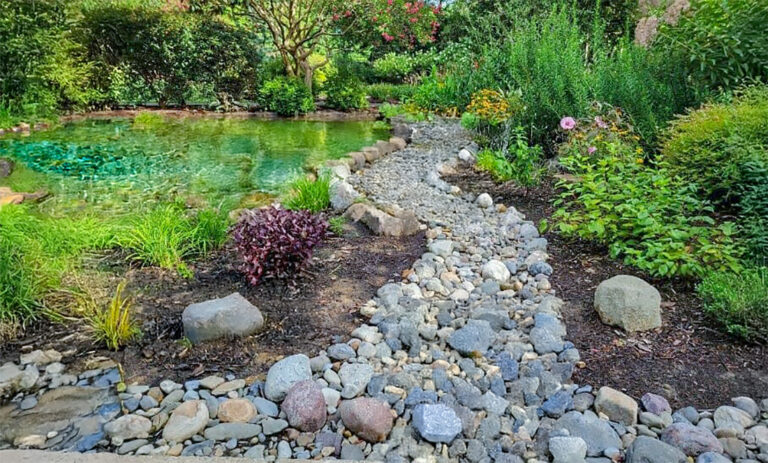 8 North Carolina Cities Rank Among The Best In America for Rain Gardens