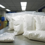 sc drug bust