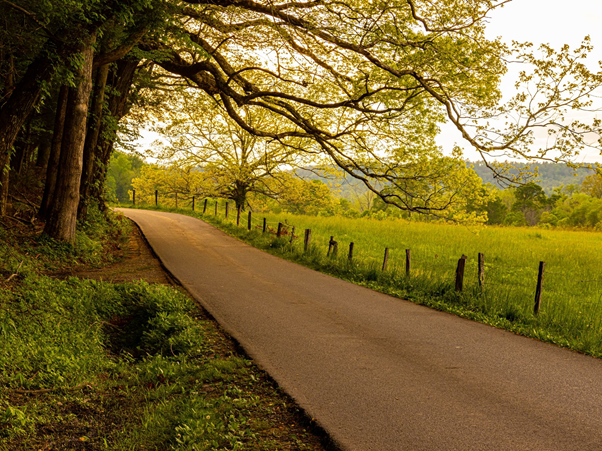 How to Plan the Perfect Day in the Smoky Mountains