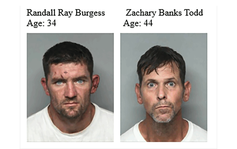 NC Man’s Recent Cow Theft Echoes $1.1 Million Charlotte Cattle Scam