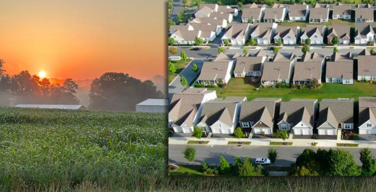 Last Dairy Farm in Mecklenburg County Sold For $24.6M To Become New Sprawling Subdivision