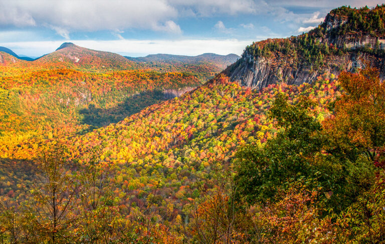 Crowds Flock to the Blue Ridge to Witness North Carolina’s Mysterious ‘Shadow of the Bear’