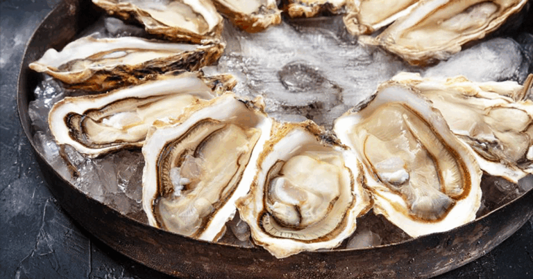 CDC Announces Salmonella Outbreak In The Carolinas Linked To Raw Oysters