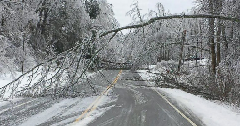 CMS Preemptively Cancels Classes Amid Historic Ice Storm