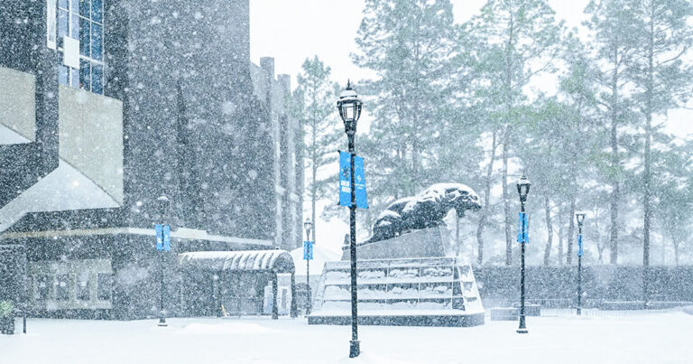 Historic Snowstorm Hits Charlotte: 11 Inches Reported as Ice Turns Dangerous