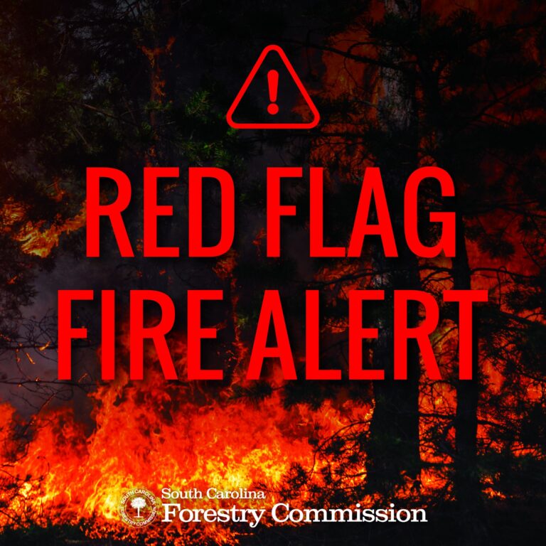 South Carolina Issues Statewide Red Flag Fire Alert as Wildfire Risk Grows