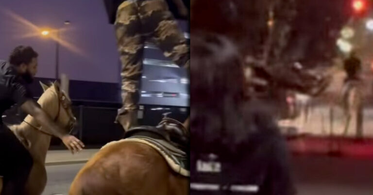 Horse Hit by Car in Uptown Charlotte After Rider Tries To Impress His Friends and Falls Off