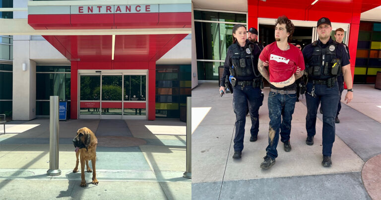 Nation’s Top Police Dog Called In To Find Suspect In Locked-Down Gastonia Hospital
