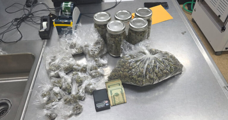 ‘Strong Odor of Marijuana’ Led to Major Huntersville Drug Bust